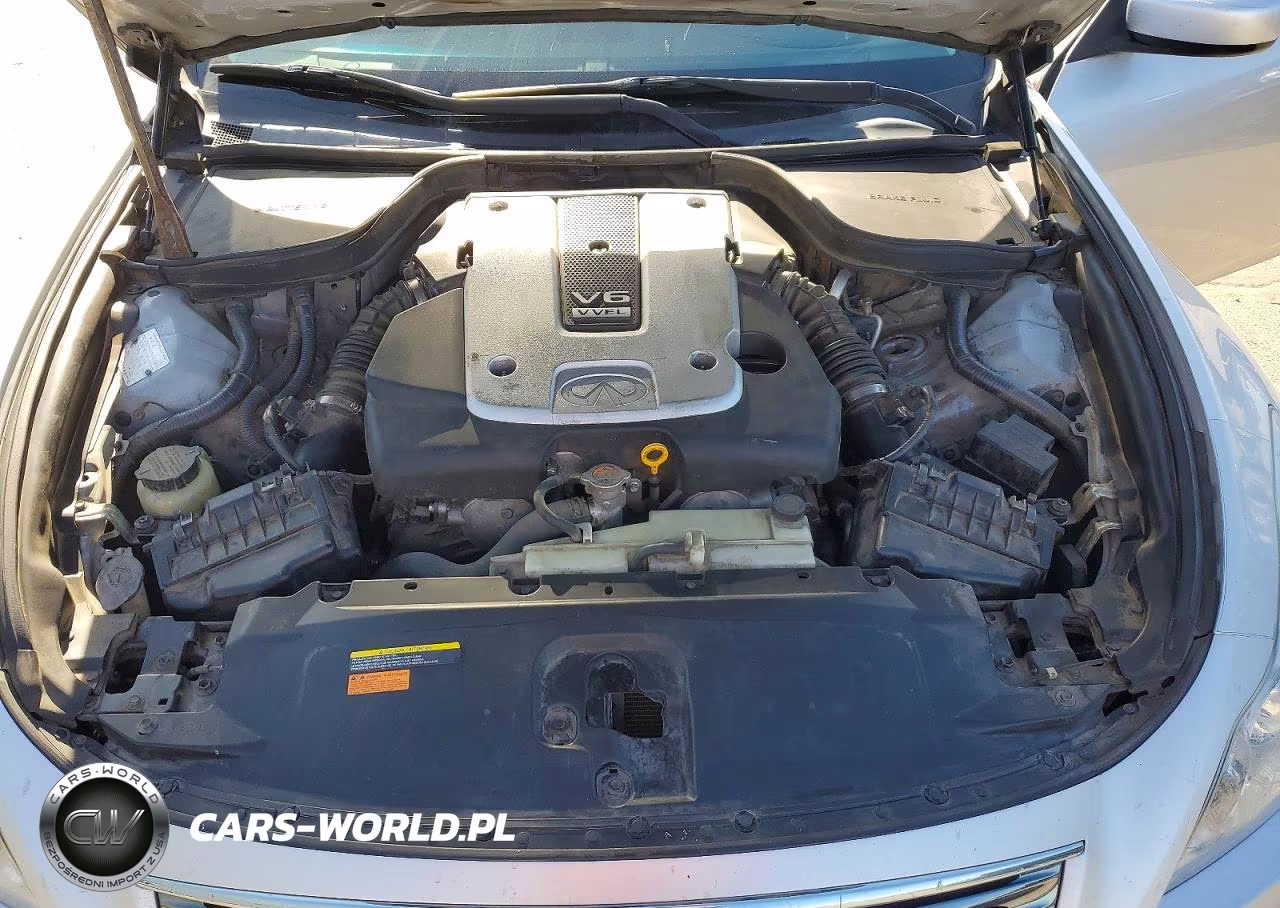 2010 Infiniti G37 Coupe X VIN:JN1CV6ELXAM151106 - 11