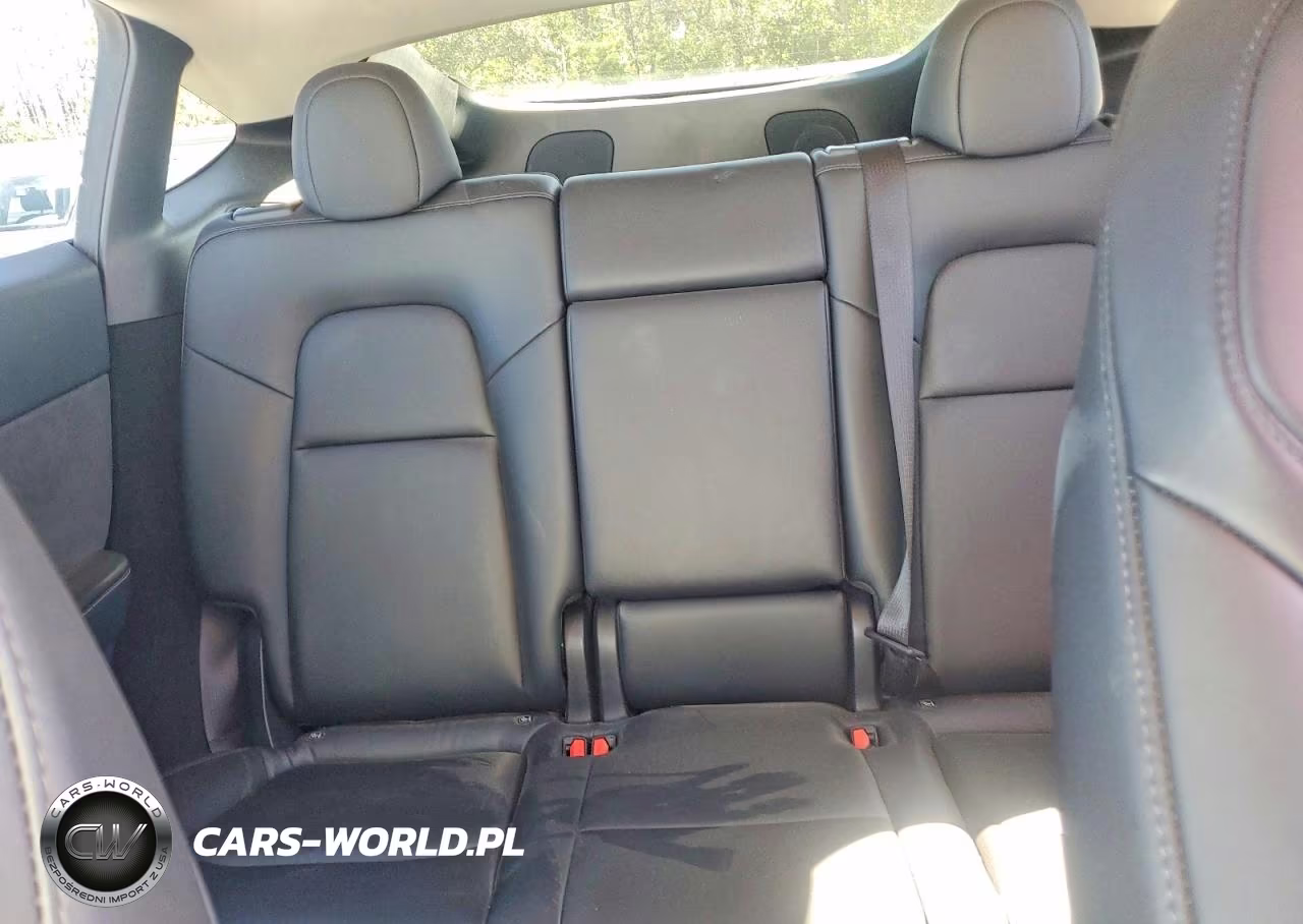 2024 Tesla Model Y VIN:7SAYGDEEXRA286917 - 10