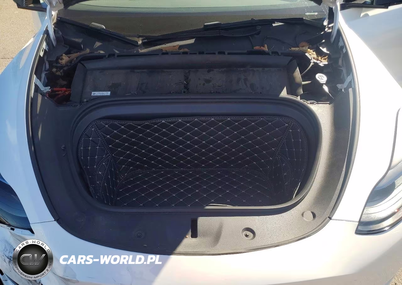 2024 Tesla Model Y VIN:7SAYGDEEXRA286917 - 12