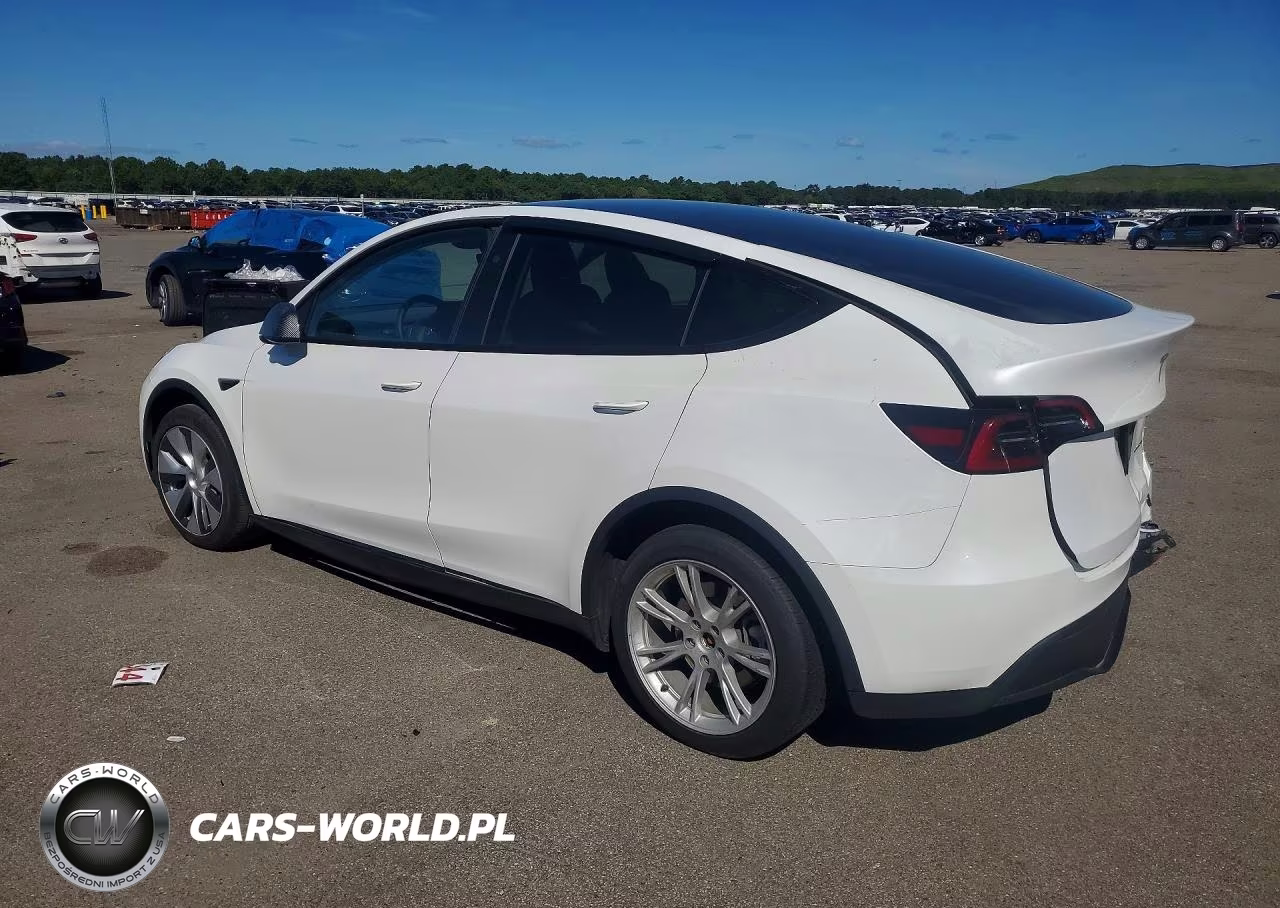 2024 Tesla Model Y VIN:7SAYGDEEXRA286917 - 2
