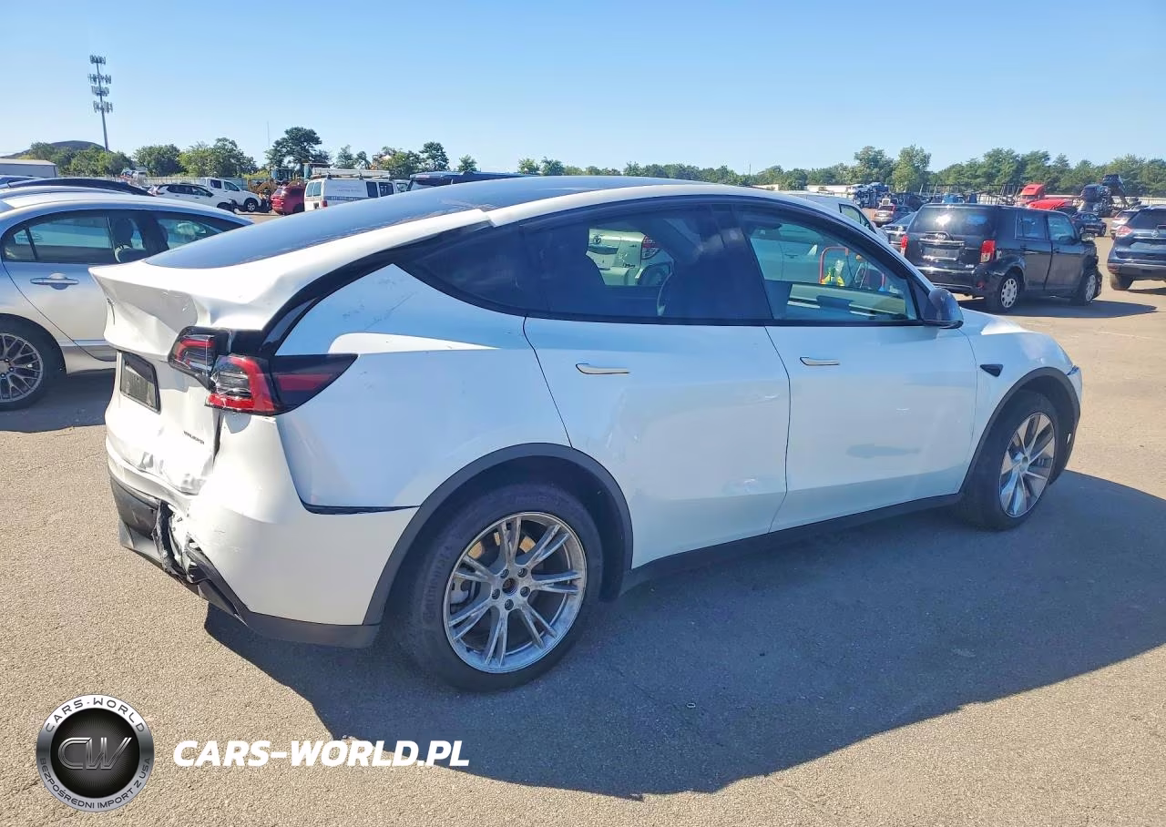 2024 Tesla Model Y VIN:7SAYGDEEXRA286917 - 3