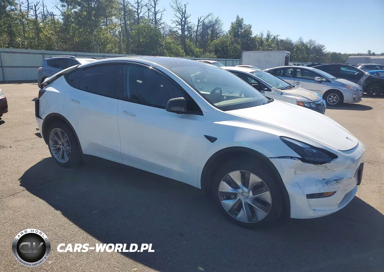2024 Tesla Model Y VIN:7SAYGDEEXRA286917 - 4