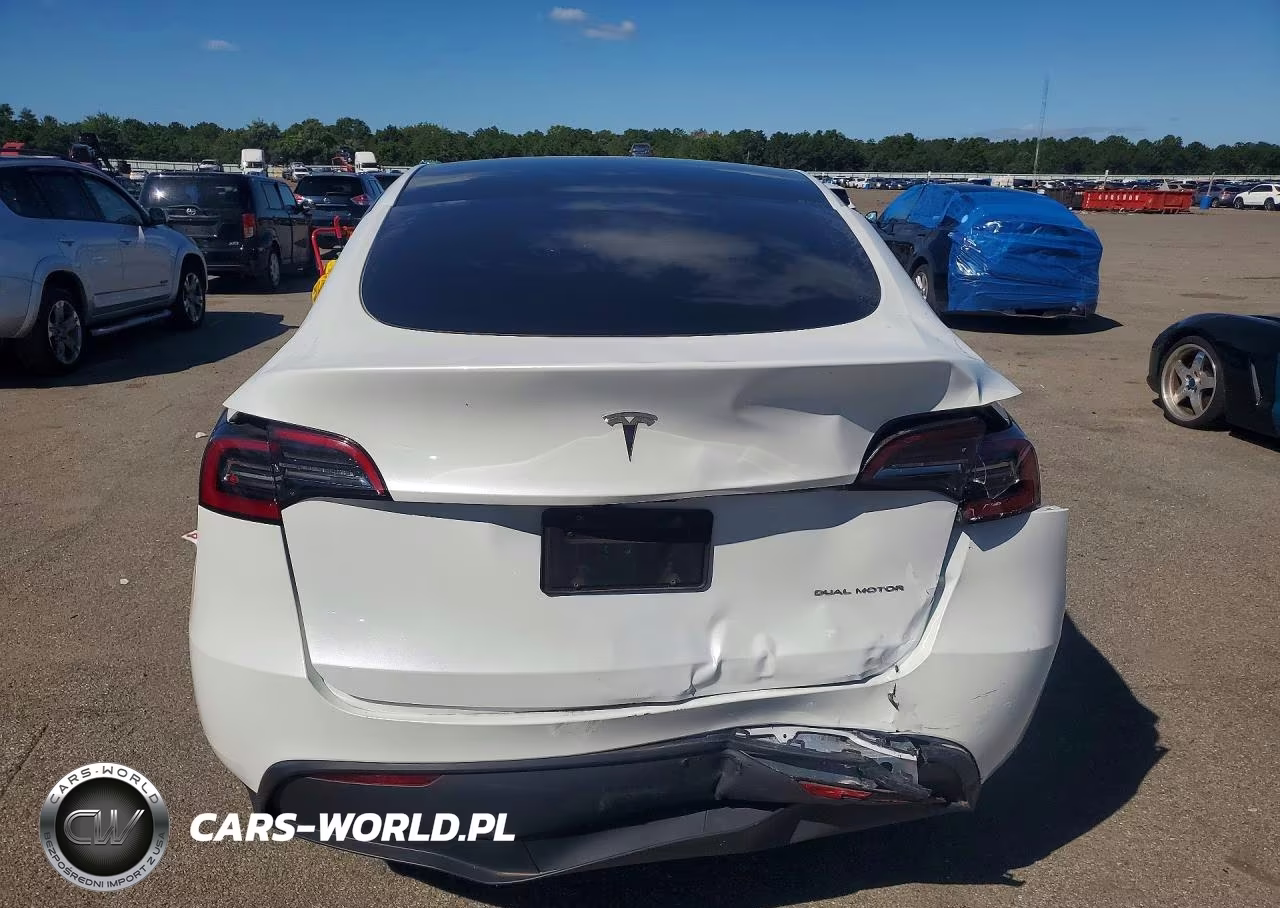 2024 Tesla Model Y VIN:7SAYGDEEXRA286917 - 6