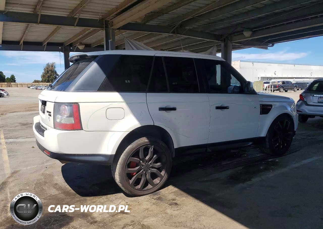 2010 Land Rover Range Rover Sport Hse VIN:SALSF2D49AA223111 - 3