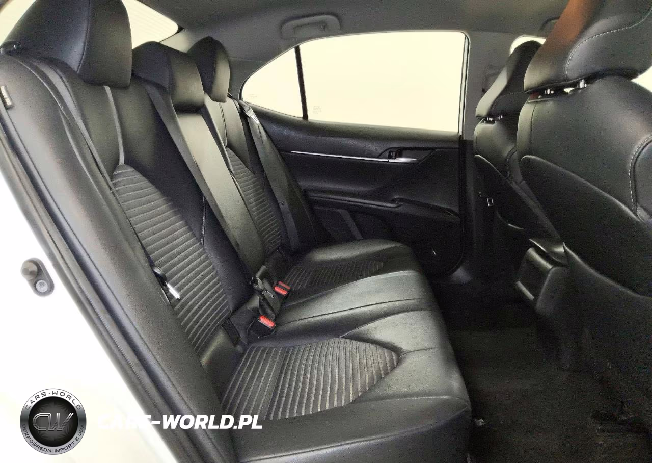 2019 Toyota Camry Se VIN:4T1B11HK4KU273287 - 10
