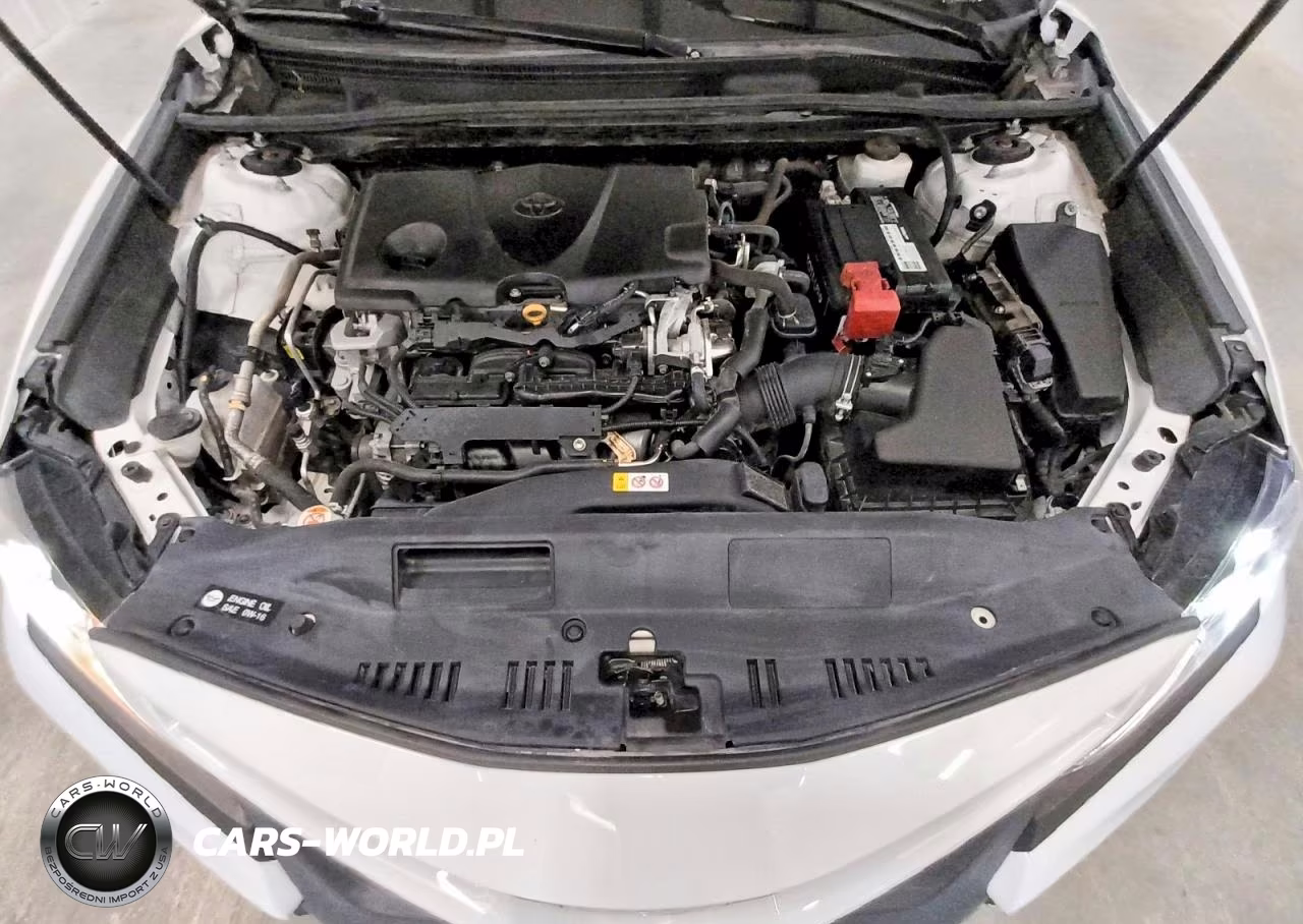 2019 Toyota Camry Se VIN:4T1B11HK4KU273287 - 11