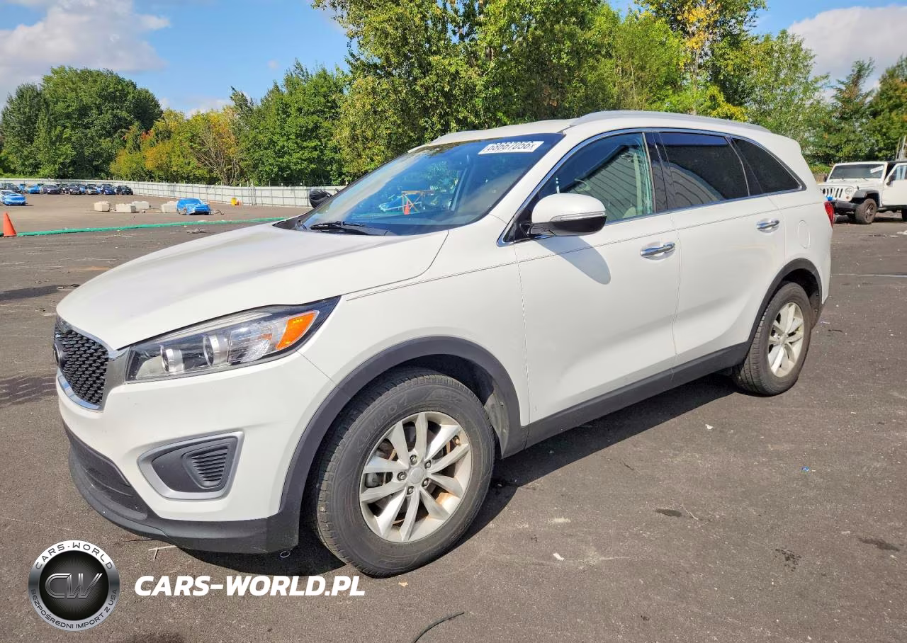 2017 Kia Sorento Lx VIN:5XYPG4A30HG239158 - 1