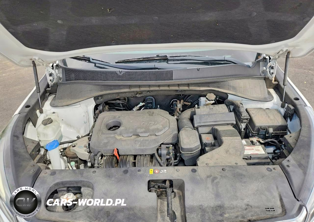 2017 Kia Sorento Lx VIN:5XYPG4A30HG239158 - 12