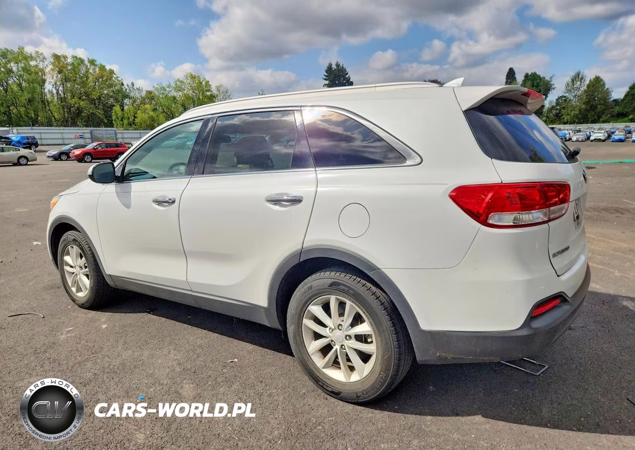 2017 Kia Sorento Lx VIN:5XYPG4A30HG239158 - 2