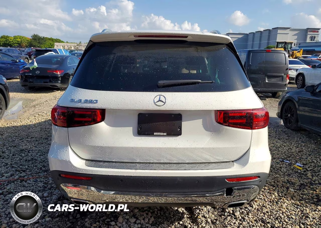2024 Mercedes-Benz Glb 250 VIN:W1N4M4GB6RW375043 - 6