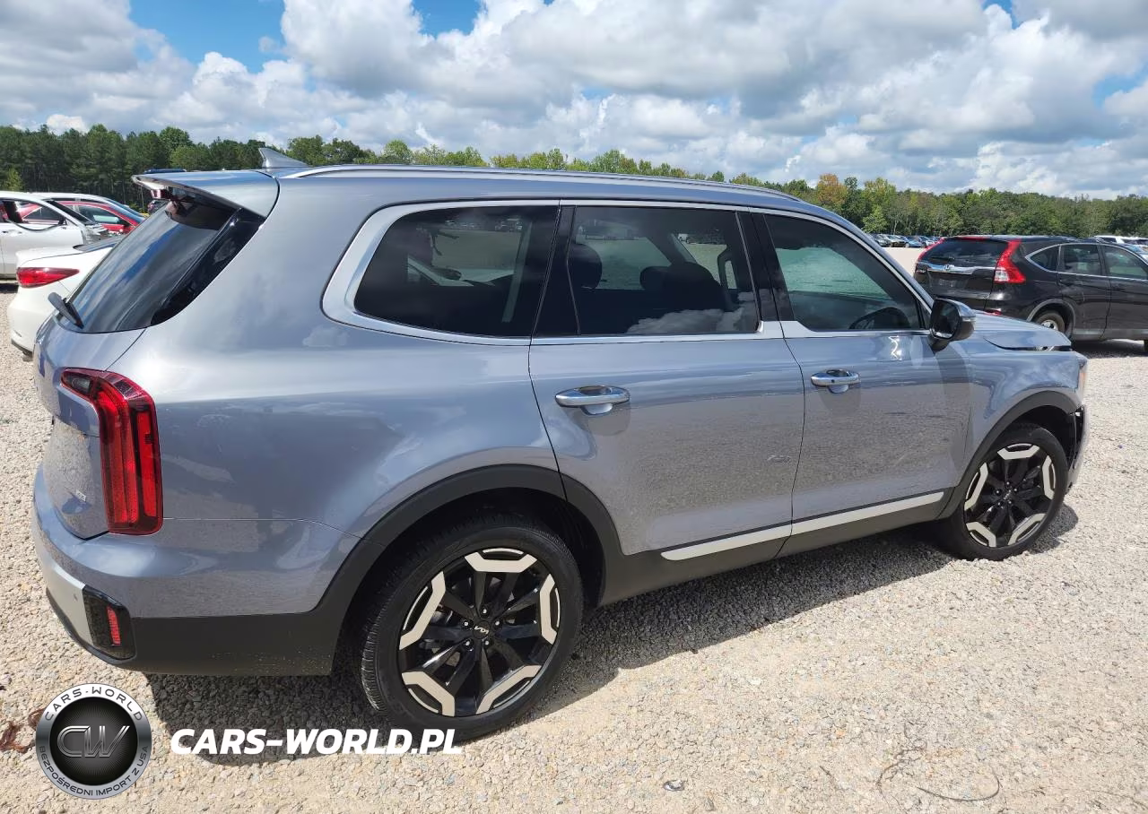 2024 Kia Telluride S VIN:5XYP6DGC3RG521452 - 3