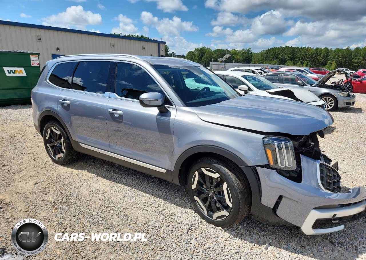 2024 Kia Telluride S VIN:5XYP6DGC3RG521452 - 4