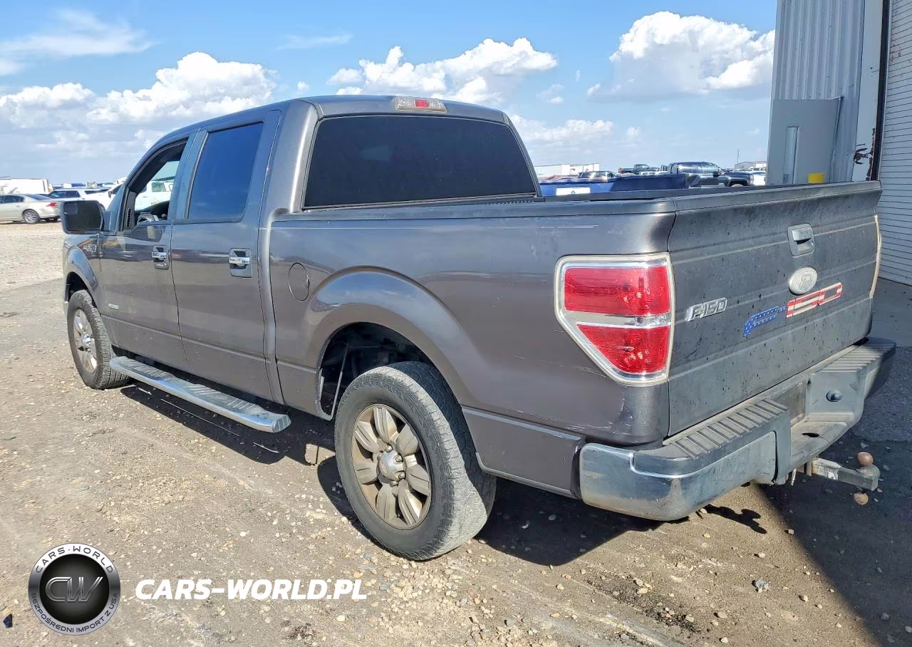 2011 Ford F150 Supercrew VIN:1FTFW1CT8BFC33659 - 2