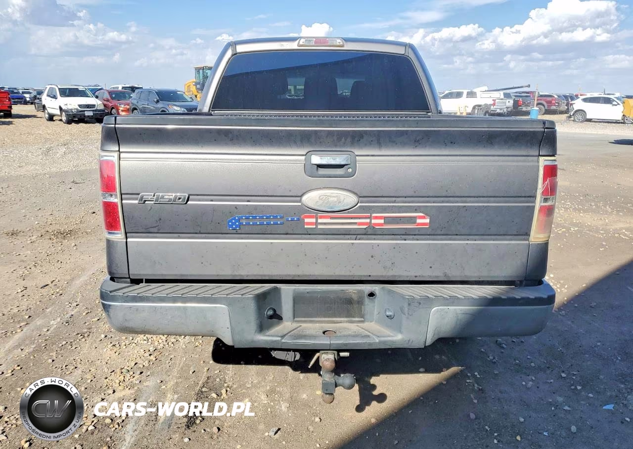 2011 Ford F150 Supercrew VIN:1FTFW1CT8BFC33659 - 6