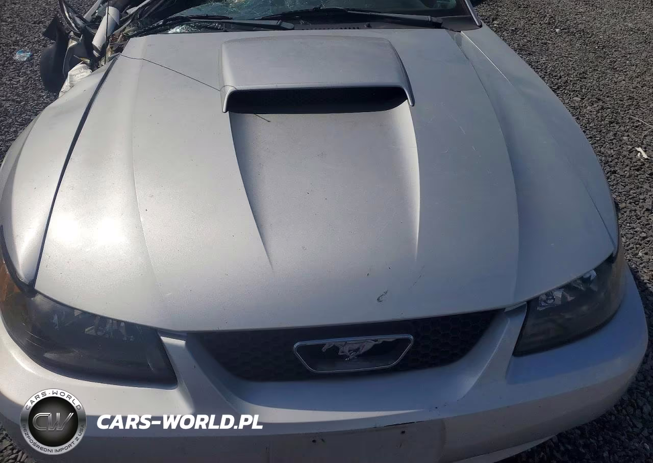 2001 Ford Mustang Gt VIN:1FAFP45X51F157434 - 11