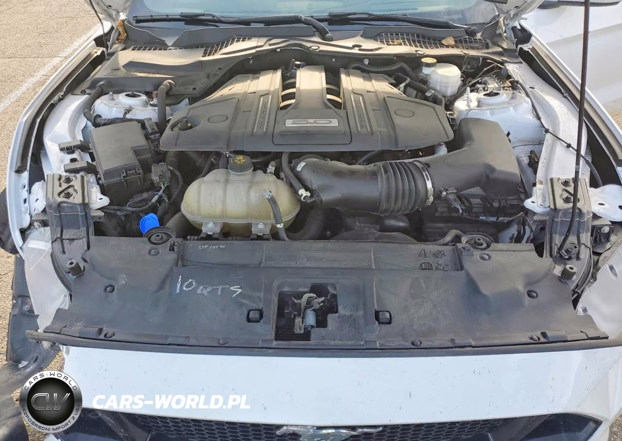 2021 Ford Mustang Gt VIN:1FA6P8CF9M5124917 - 11
