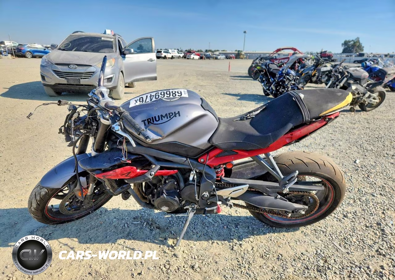 2015 Triumph Motorcycle Street Triple R VIN:SMTL03NEXFT657917 - 3