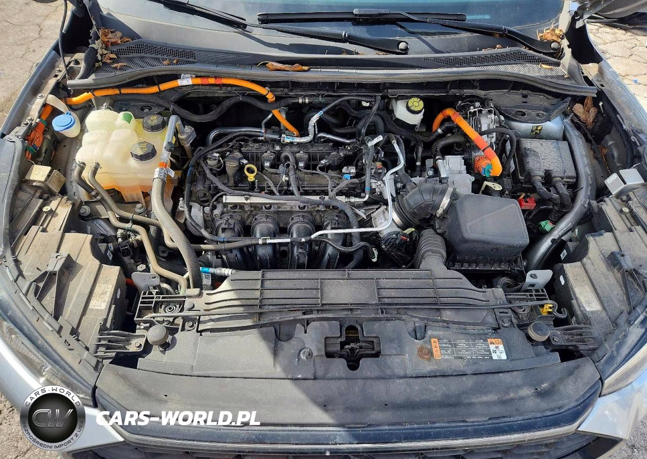 2023 Ford Escape Platinum VIN:1FMCU9JZXPUB29641 - 11