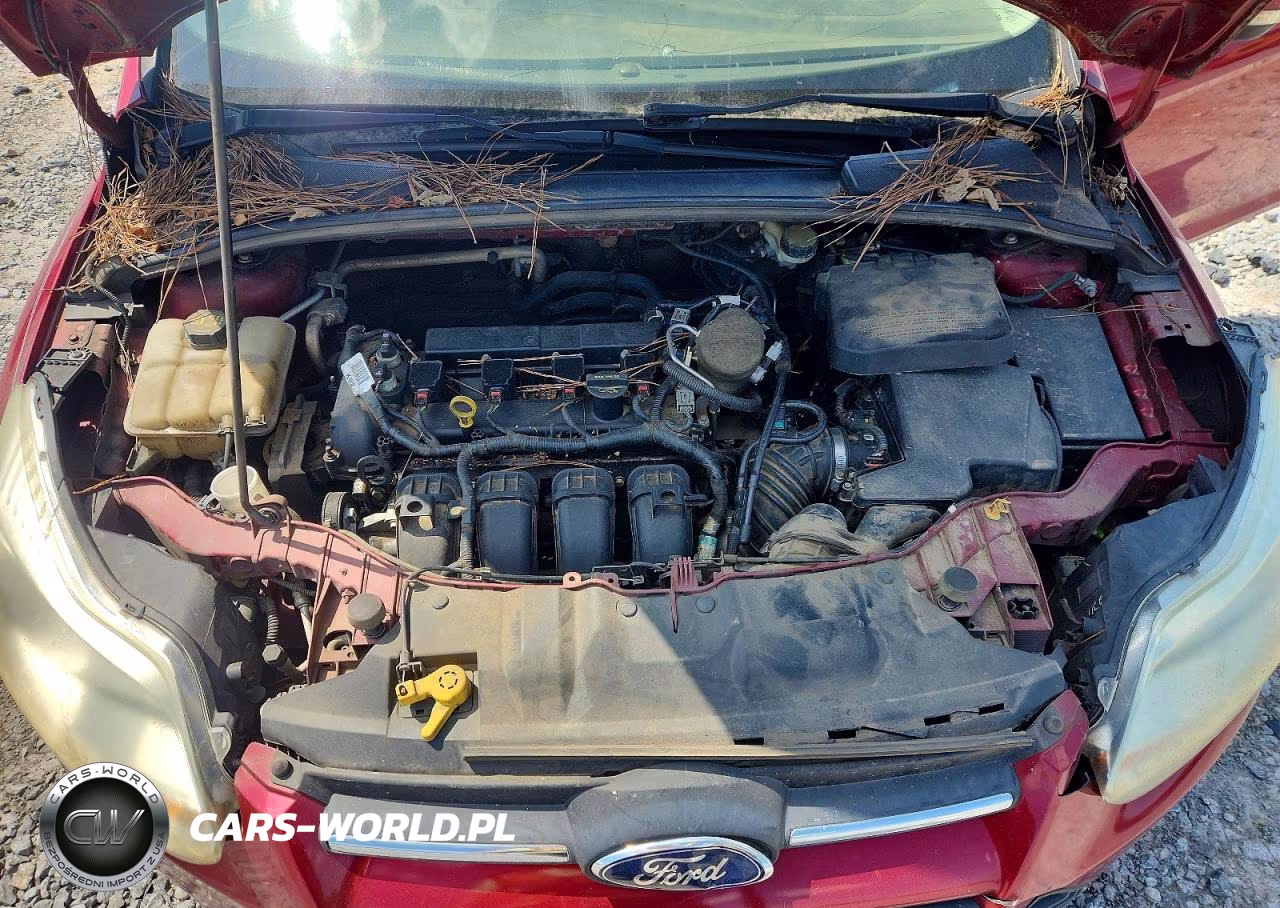 2014 Ford Focus Se VIN:1FADP3F23EL114710 - 11