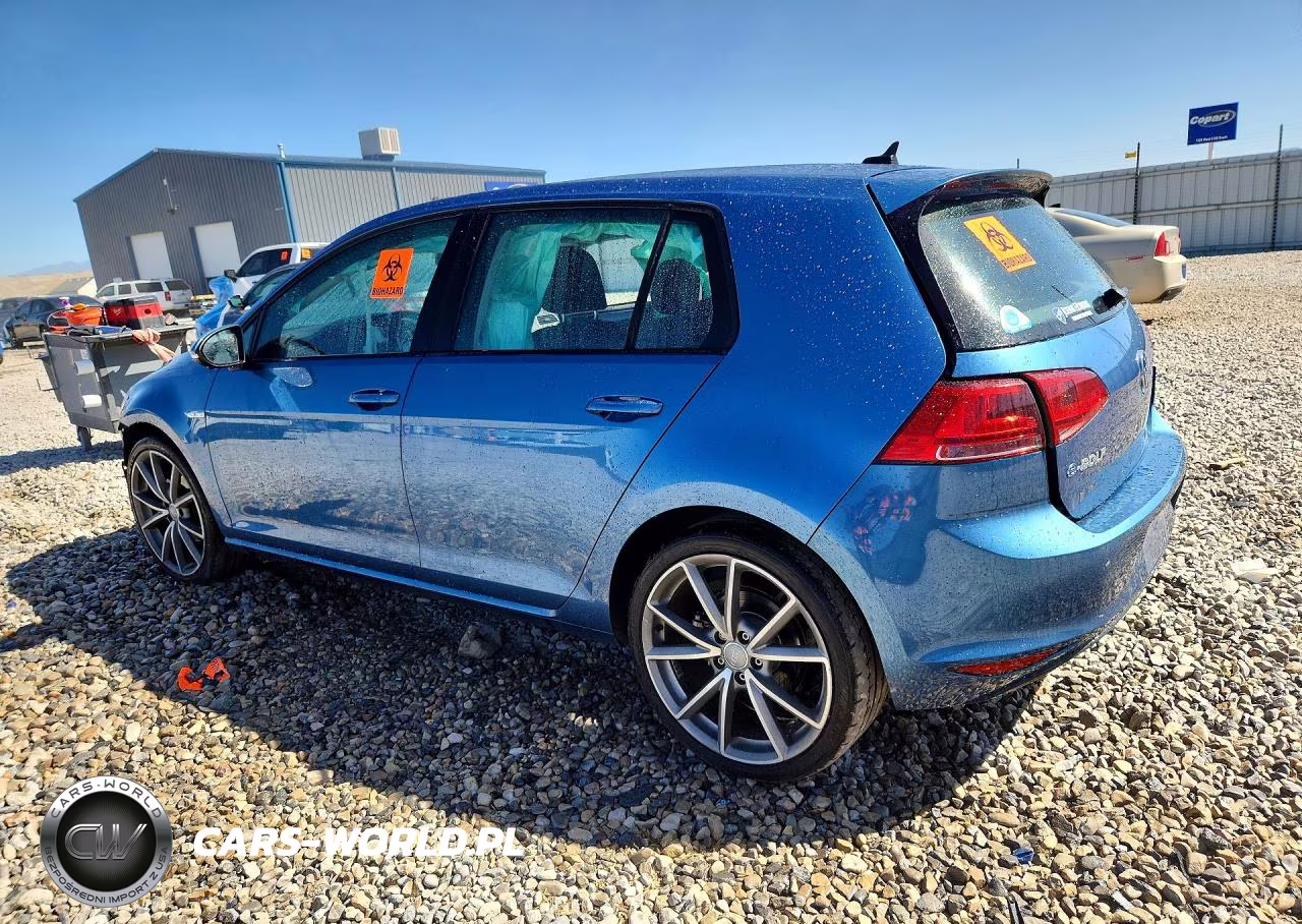 2016 Volkswagen E-Golf Se VIN:WVWKP7AU5GW917246 - 2