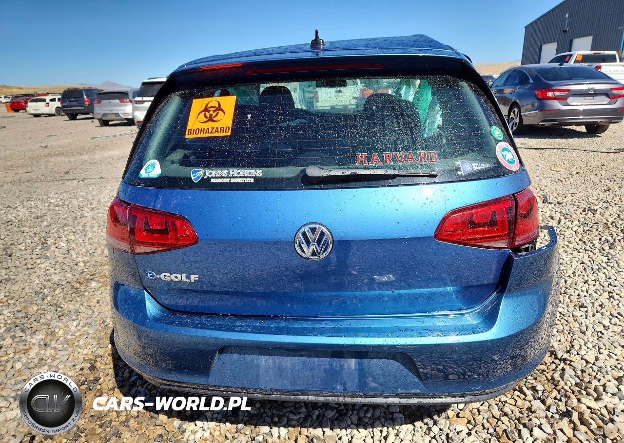 2016 Volkswagen E-Golf Se VIN:WVWKP7AU5GW917246 - 6