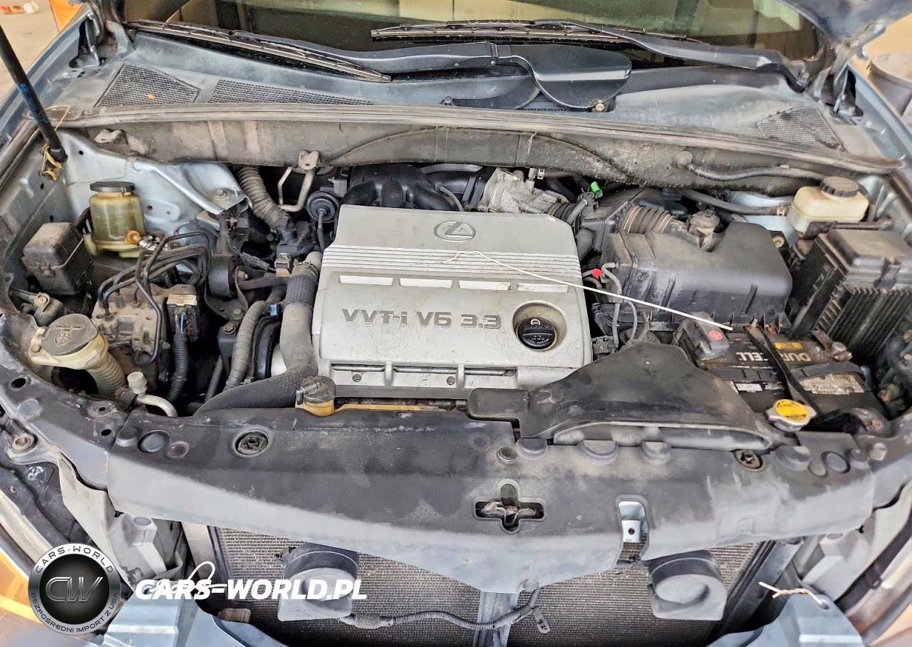 2004 Lexus Rx 330 VIN:2T2GA31U34C002184 - 12