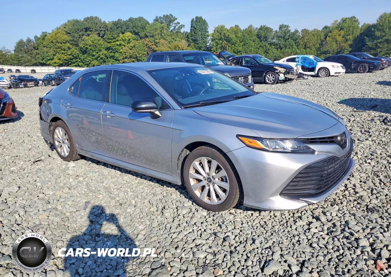 2020 Toyota Camry Le VIN:4T1C11AKXLU991054 - 4