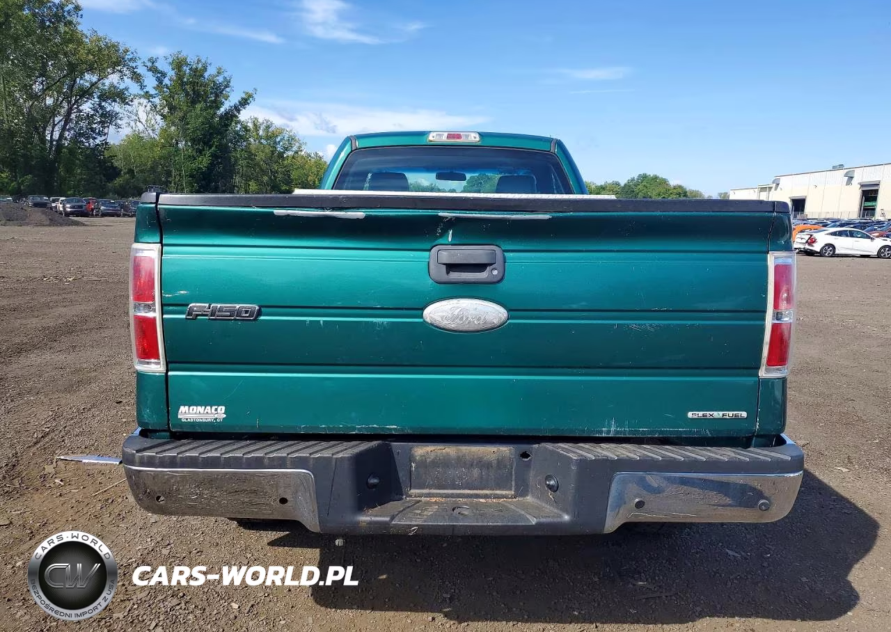 2011 Ford F150 VIN:1FTMF1CMXBKD57469 - 6