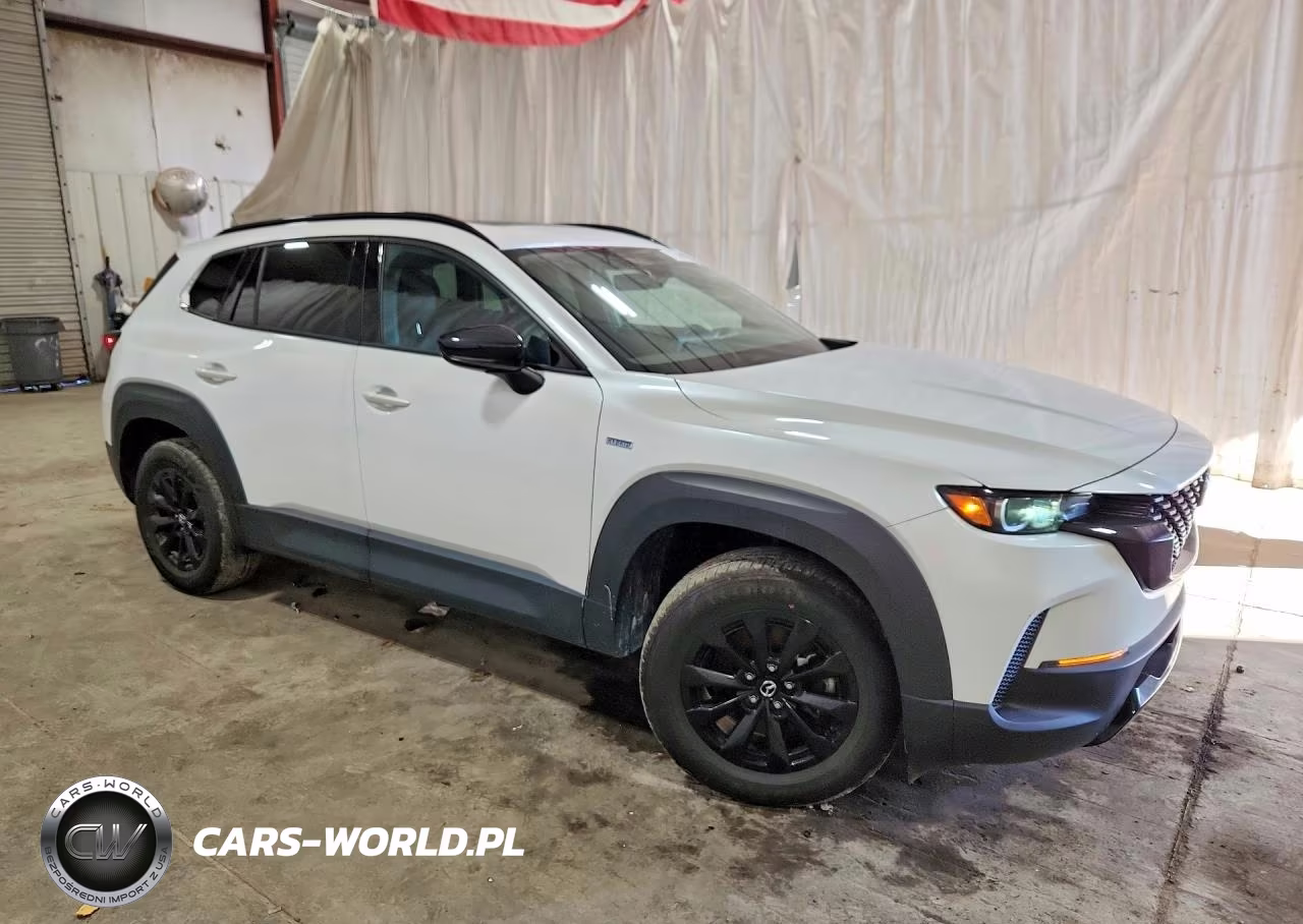 2025 Mazda Cx-50 Premium VIN:7MMVAADW3SN133428 - 4