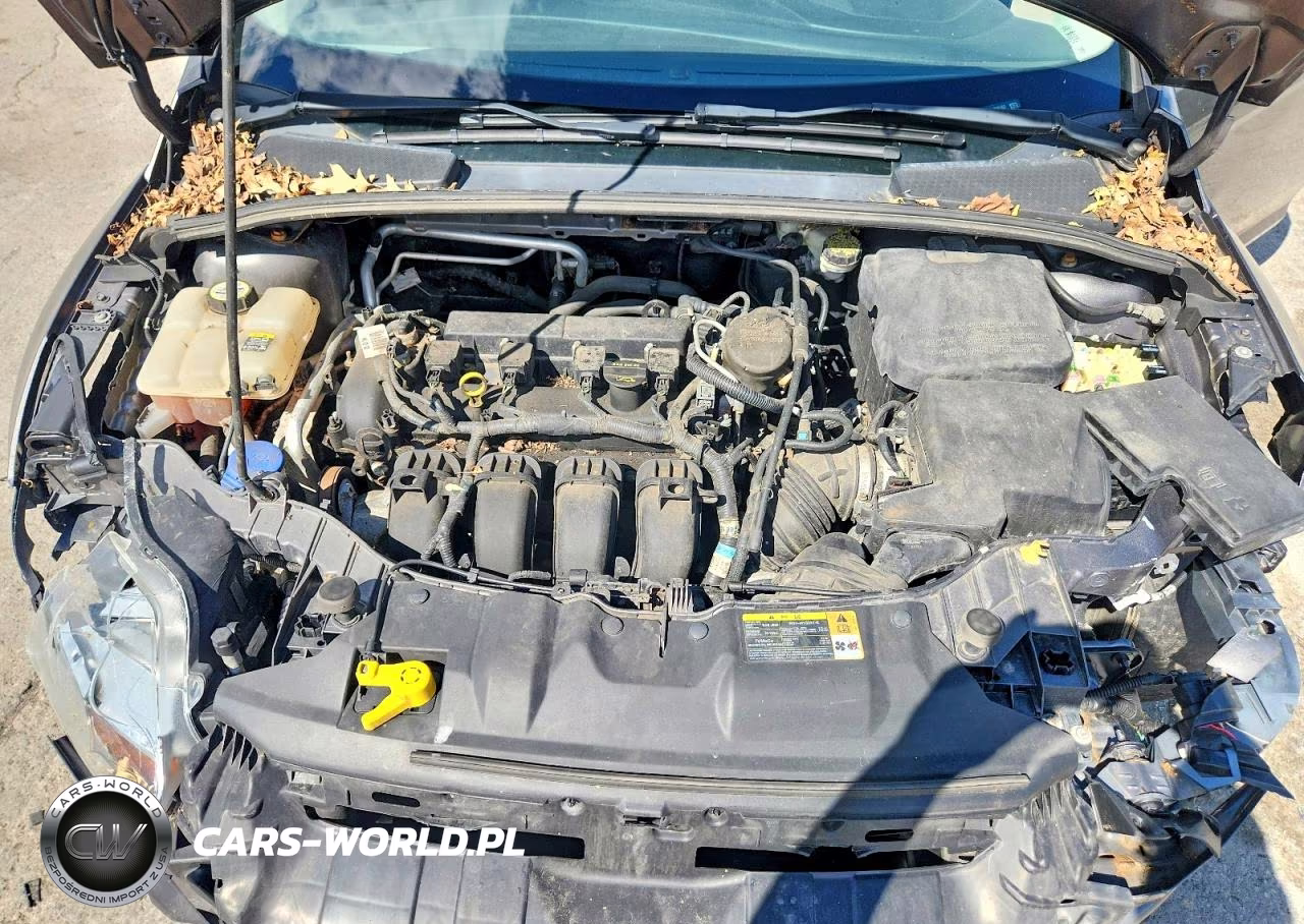 2012 Ford Focus Se VIN:1FAHP3F23CL336162 - 11