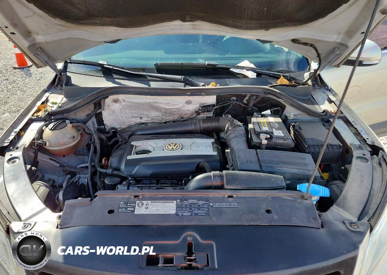 2010 Volkswagen Tiguan Se VIN:WVGBV7AX1AW529191 - 11