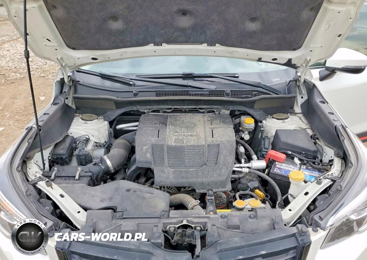 2019 Subaru Forester Sport VIN:JF2SKAJC4KH479031 - 12