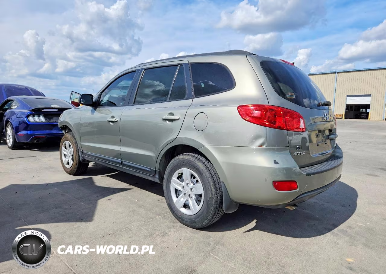 2009 Hyundai Santa Fe Gls VIN:5NMSG13D59H250677 - 2