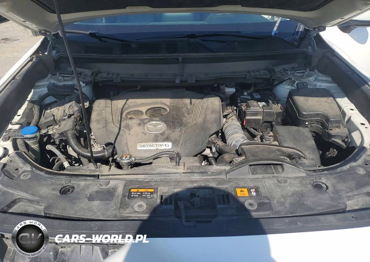 2020 Mazda Cx-9 Touring VIN:JM3TCACY9L0400128 - 12