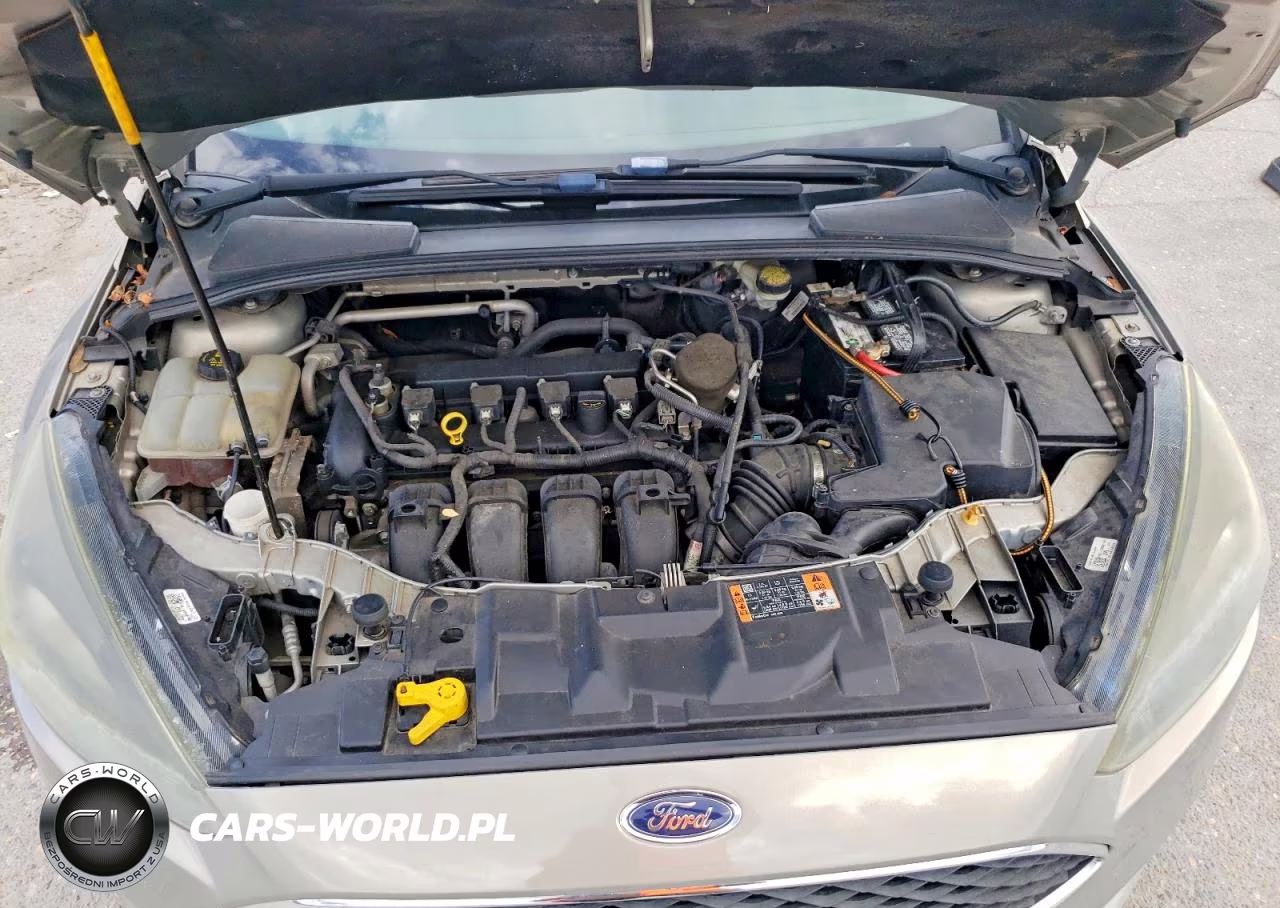 2015 Ford Focus Se VIN:1FADP3F20FL310461 - 11