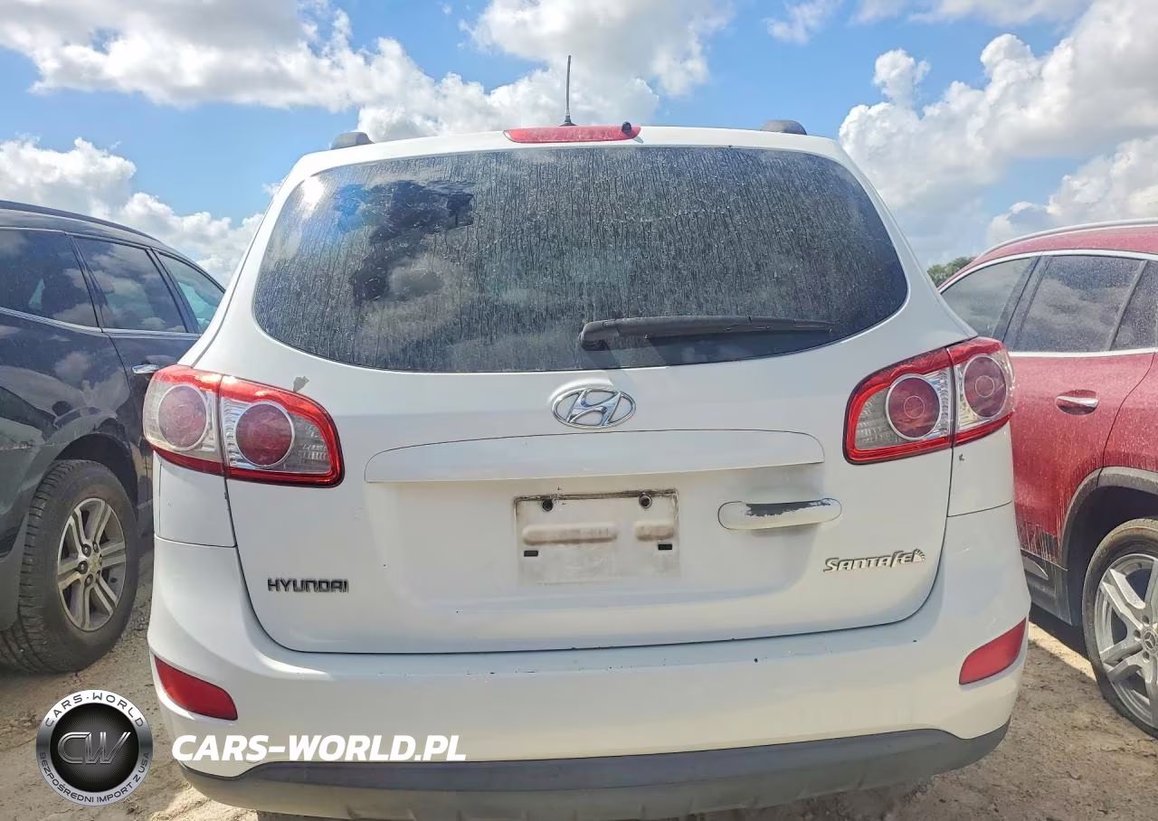 2010 Hyundai Santa Fe Gls VIN:5NMSG3AB7AH401326 - 6
