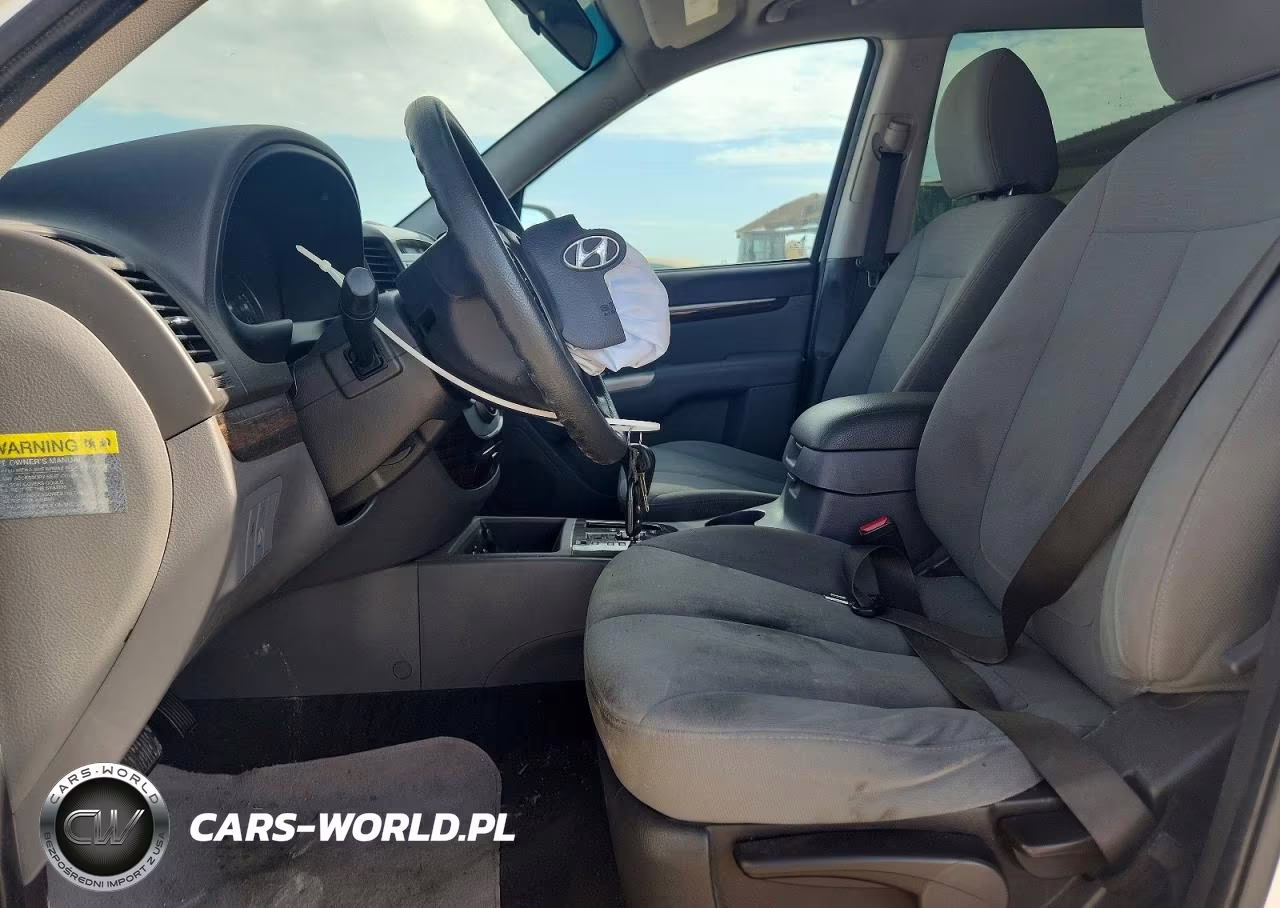 2010 Hyundai Santa Fe Gls VIN:5NMSG3AB7AH401326 - 7