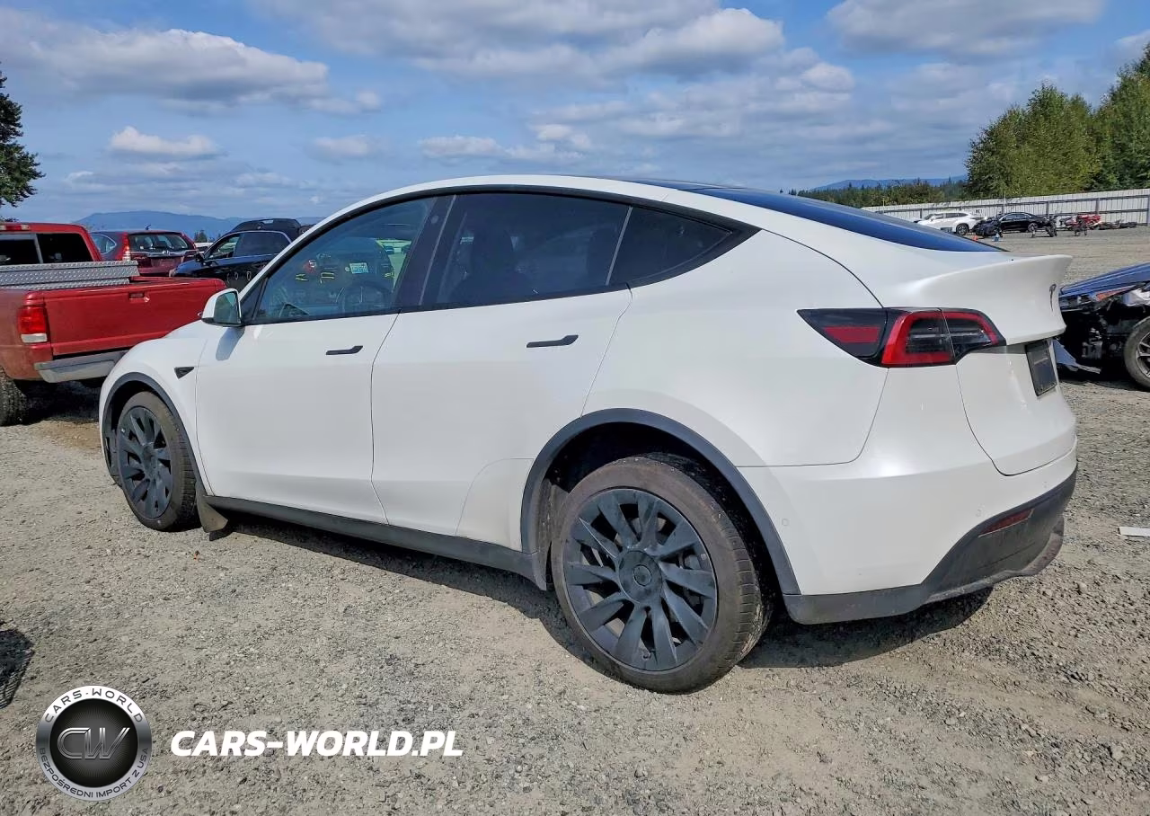 2022 Tesla Model Y VIN:7SAYGDEE8NF320477 - 2