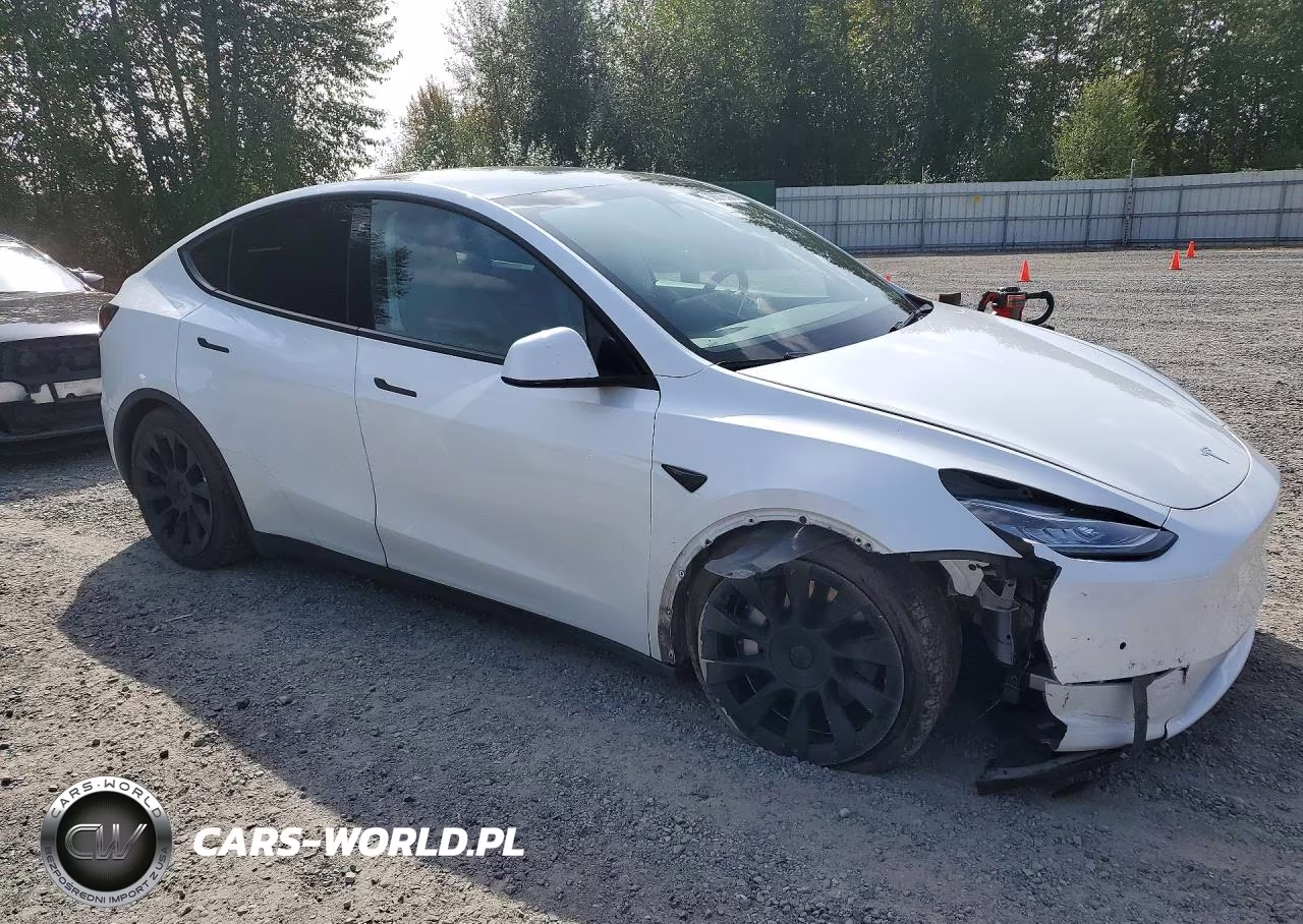 2022 Tesla Model Y VIN:7SAYGDEE8NF320477 - 4
