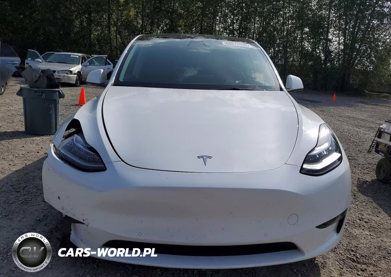 2022 Tesla Model Y VIN:7SAYGDEE8NF320477 - 5