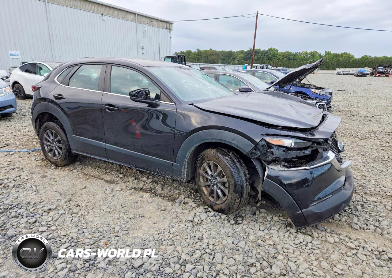 2021 Mazda Cx-30 VIN:3MVDMAAL0MM261506 - 4