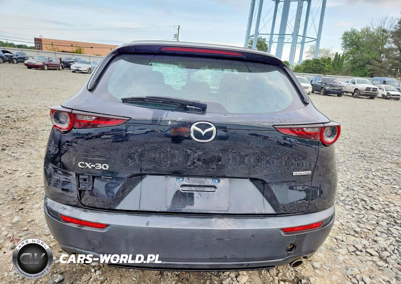 2021 Mazda Cx-30 VIN:3MVDMAAL0MM261506 - 6
