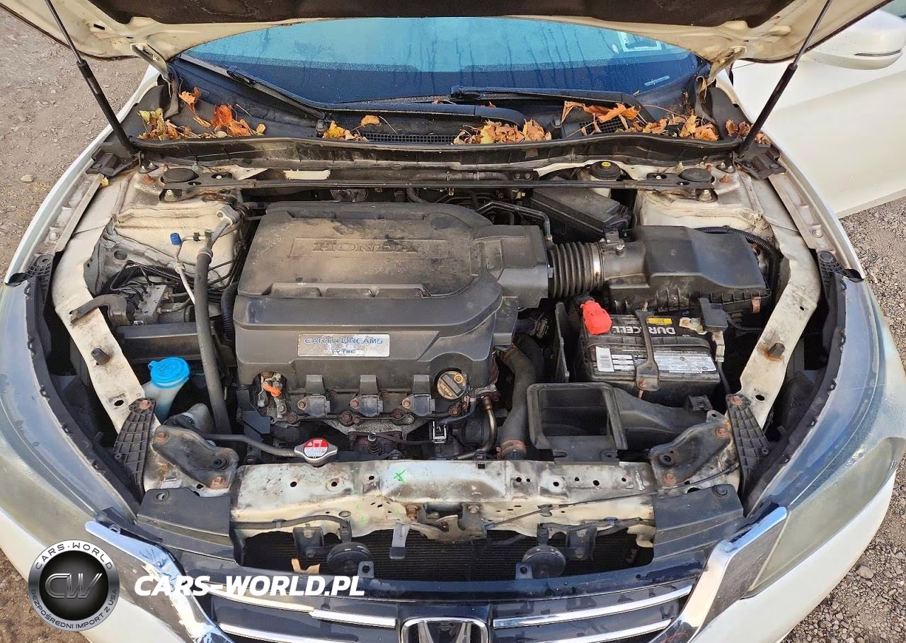 2013 Honda Accord Exl VIN:1HGCR3F88DA046310 - 11