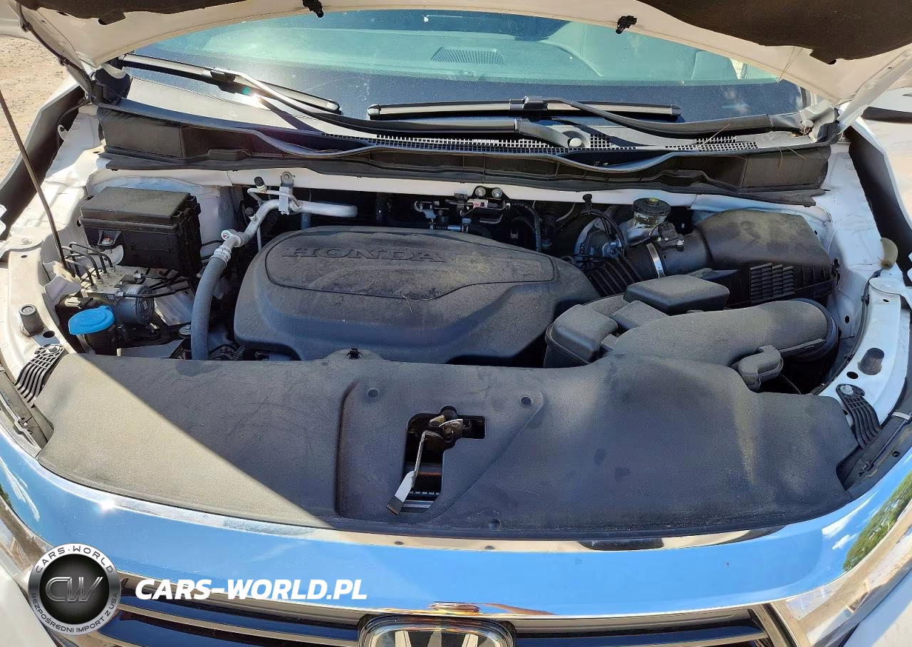 2024 Honda Odyssey Exl VIN:5FNRL6H67RB040553 - 12