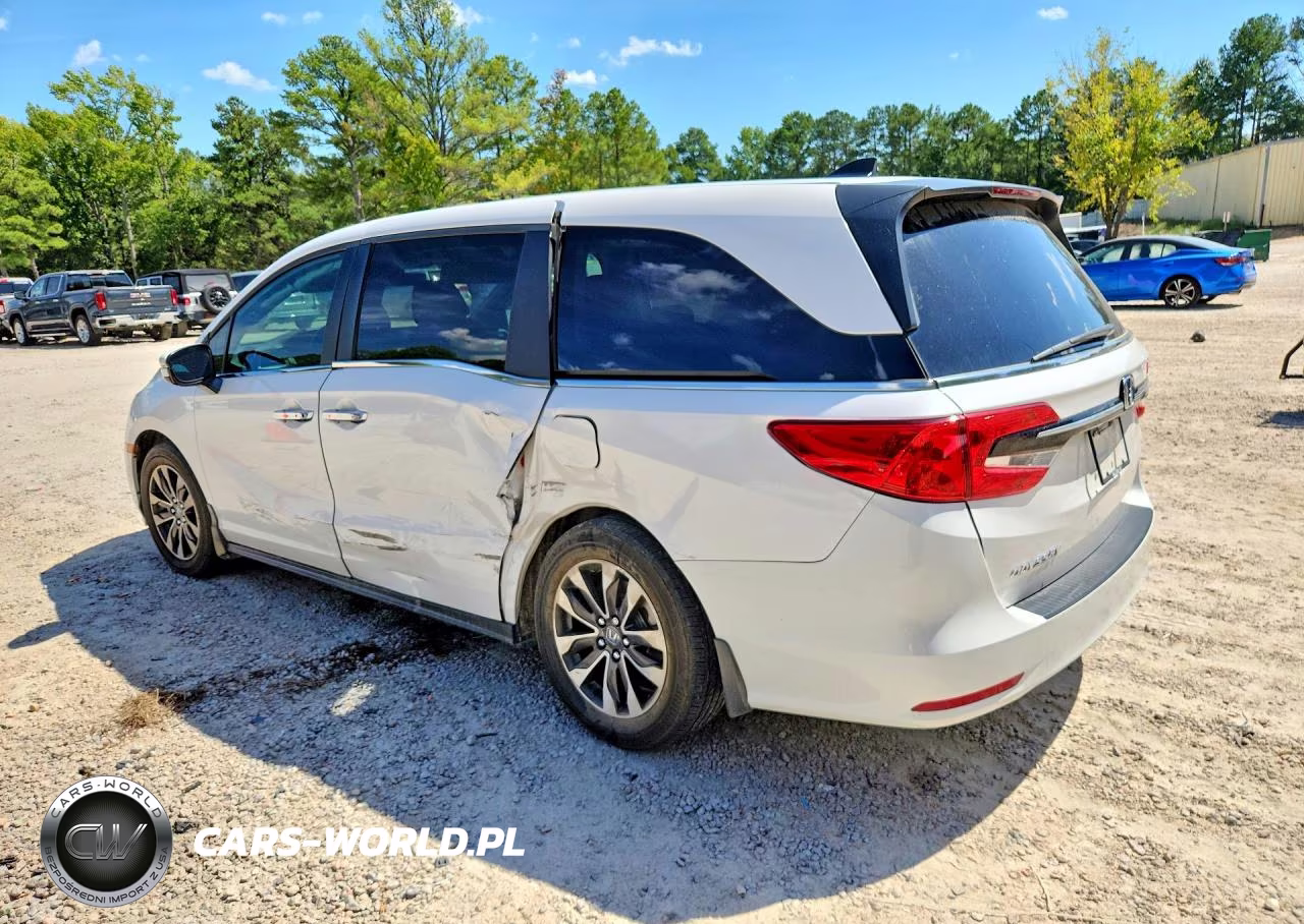 2024 Honda Odyssey Exl VIN:5FNRL6H67RB040553 - 2