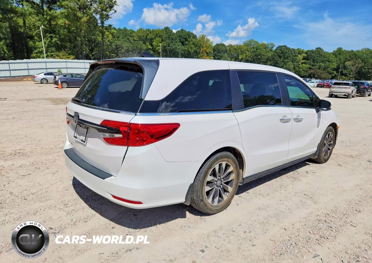 2024 Honda Odyssey Exl VIN:5FNRL6H67RB040553 - 3