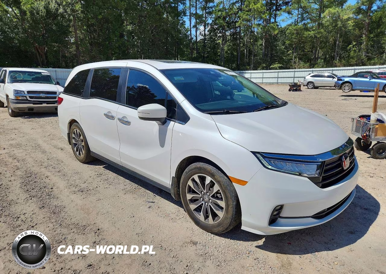 2024 Honda Odyssey Exl VIN:5FNRL6H67RB040553 - 4