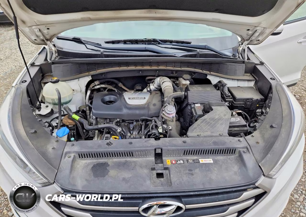 2018 Hyundai Tucson Value VIN:KM8J3CA29JU791888 - 12