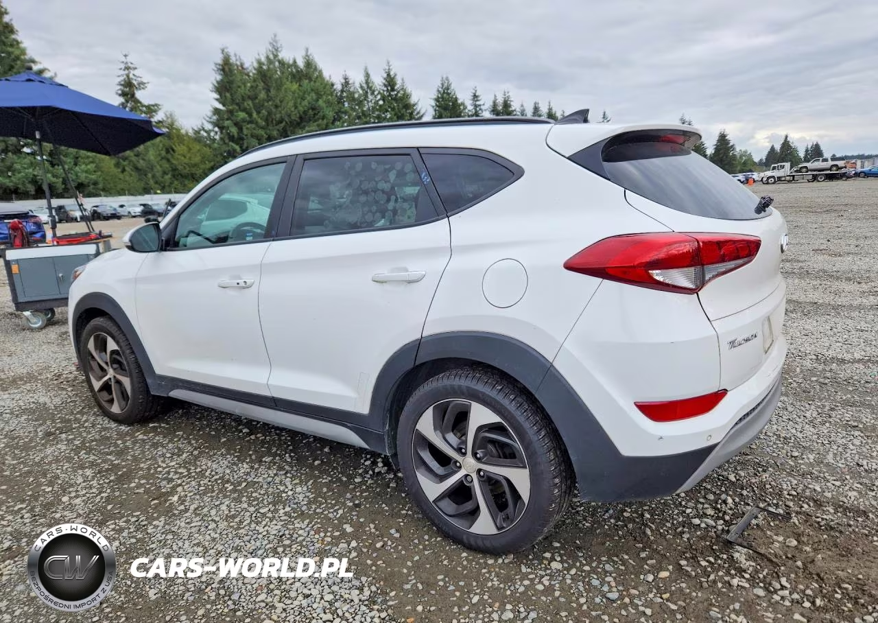 2018 Hyundai Tucson Value VIN:KM8J3CA29JU791888 - 2