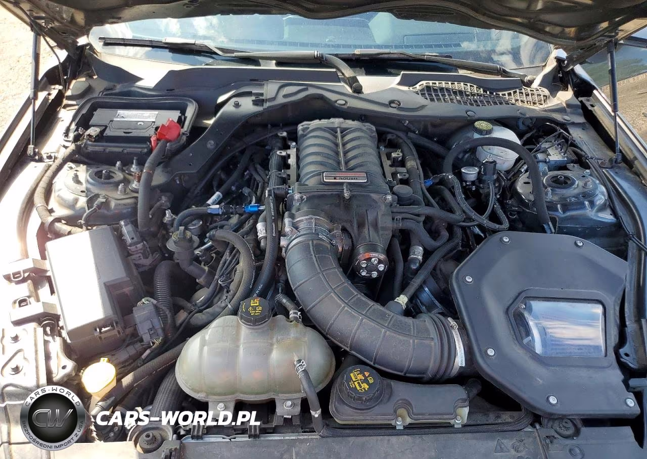 2019 Ford Mustang Gt VIN:1FA6P8CF9K5200441 - 11